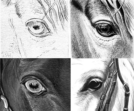 draw horse eye