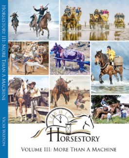 Horsestory Volume III: More Than A Machine