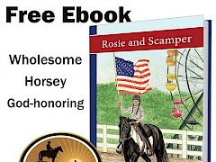 sonrise stable christian horse books