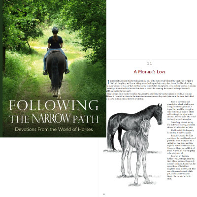 horse devotional book following the narrow path