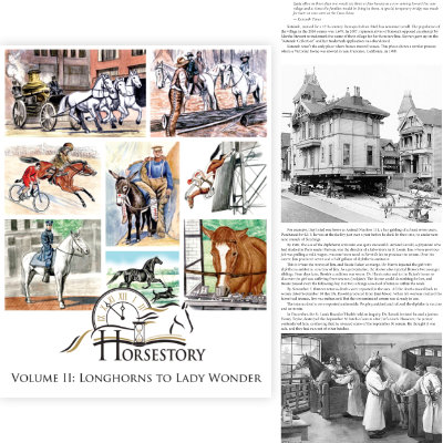 horsestory series horses from the past