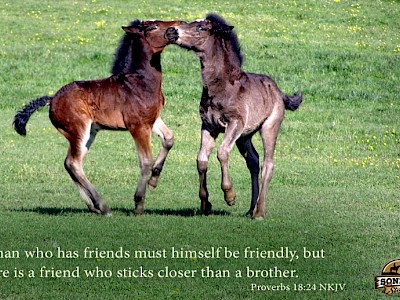 A Friend Who Sticks Closer than a Brother