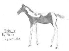 sonrise stable christian horse books