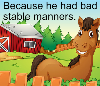stable manners