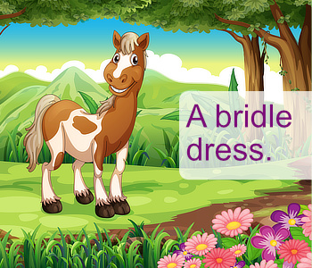 bridle dress
