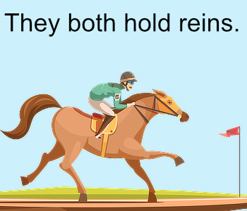 hold reins