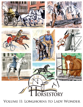 horsestory volume 2