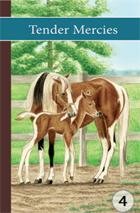 sonrise stable book 4