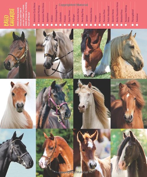 Wild For Horses Poster Book #7