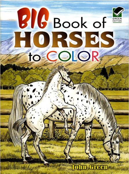 Big Book of Horses to Color