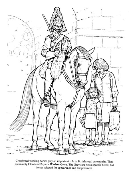 Big Book of Horses to Color #2