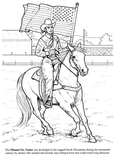 Big Book of Horses to Color #4