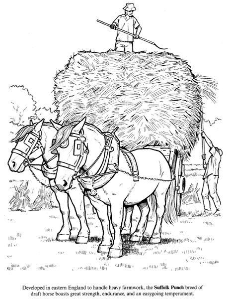 Big Book of Horses to Color #6