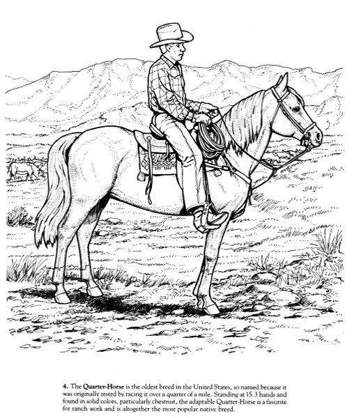 Big Book of Horses to Color #7