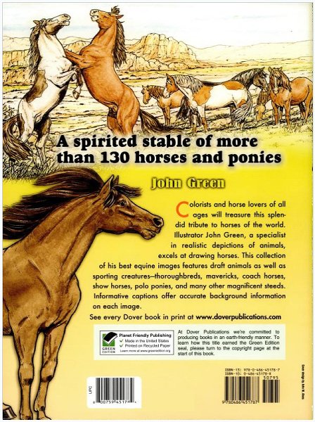 Big Book of Horses to Color #8
