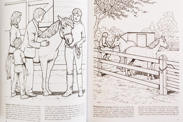 My Horse Coloring Book #5