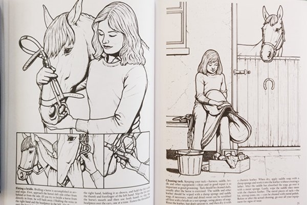 My Horse Coloring Book #6