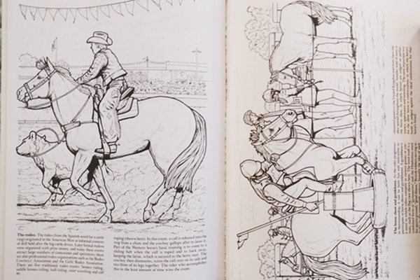 My Horse Coloring Book #7