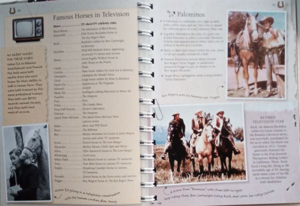 Amazing Horse Facts and Trivia #5