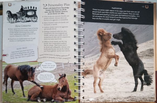 Amazing Horse Facts and Trivia #6