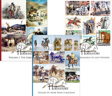Horsestory Series - All Three Volumes