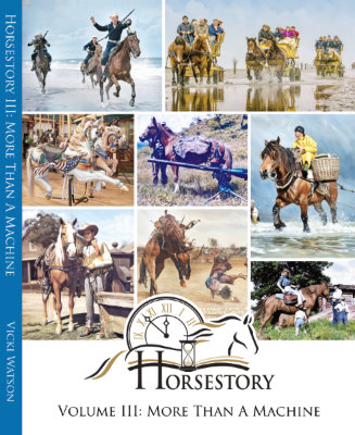 Horsestory Volume III: More Than A Machine